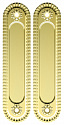 Ручка для раздвижных дверей SH.CL152.010 (SH010/CL) GOLD-24 золото 24К